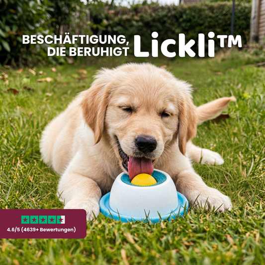 Lickli™ - Beschäftigung, die beruhigt.