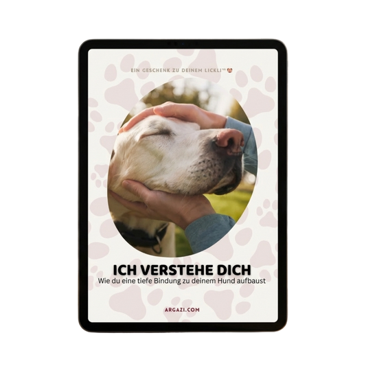 E-Book: "Ich verstehe dich"