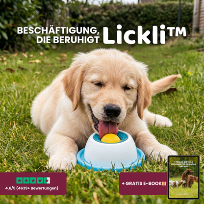 Lickli™ - Beschäftigung, die beruhigt.