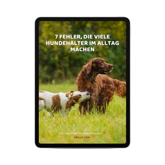 E-Book: 7 Fehler, die viele Hundehalter im Alltag machen
